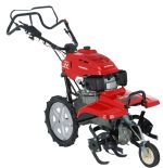 FF 500