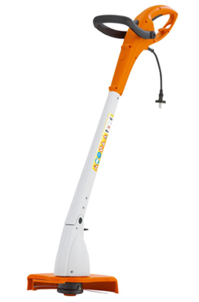 FSE 31